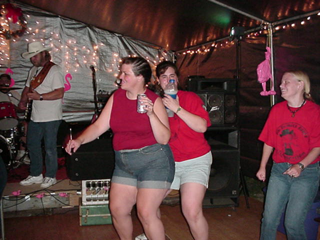 pos3.JPG (55000 bytes)